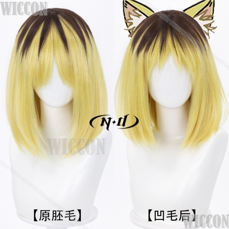 Yanineko Hamenko 2026 Anime Ch - Anime Cosplay Events 2026 评论和价格
